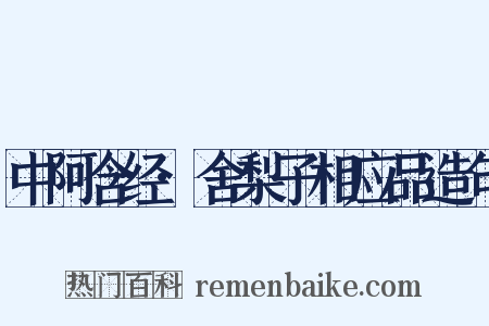 中阿含经·舍梨子相应品造句是什么意思的图片